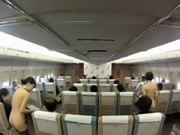 Japoński Nude stewardesa